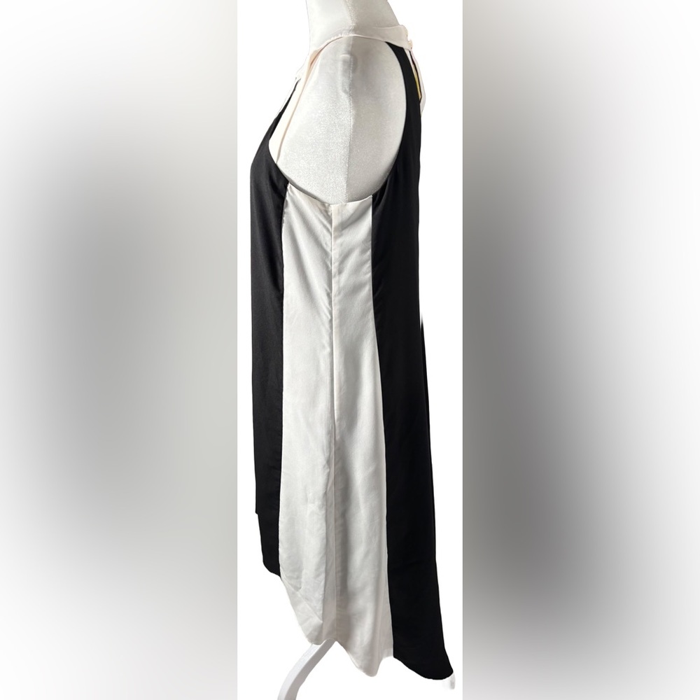 Project Runway S Black & White Vertical Stripes High-low Dress - Picture 4 of 9